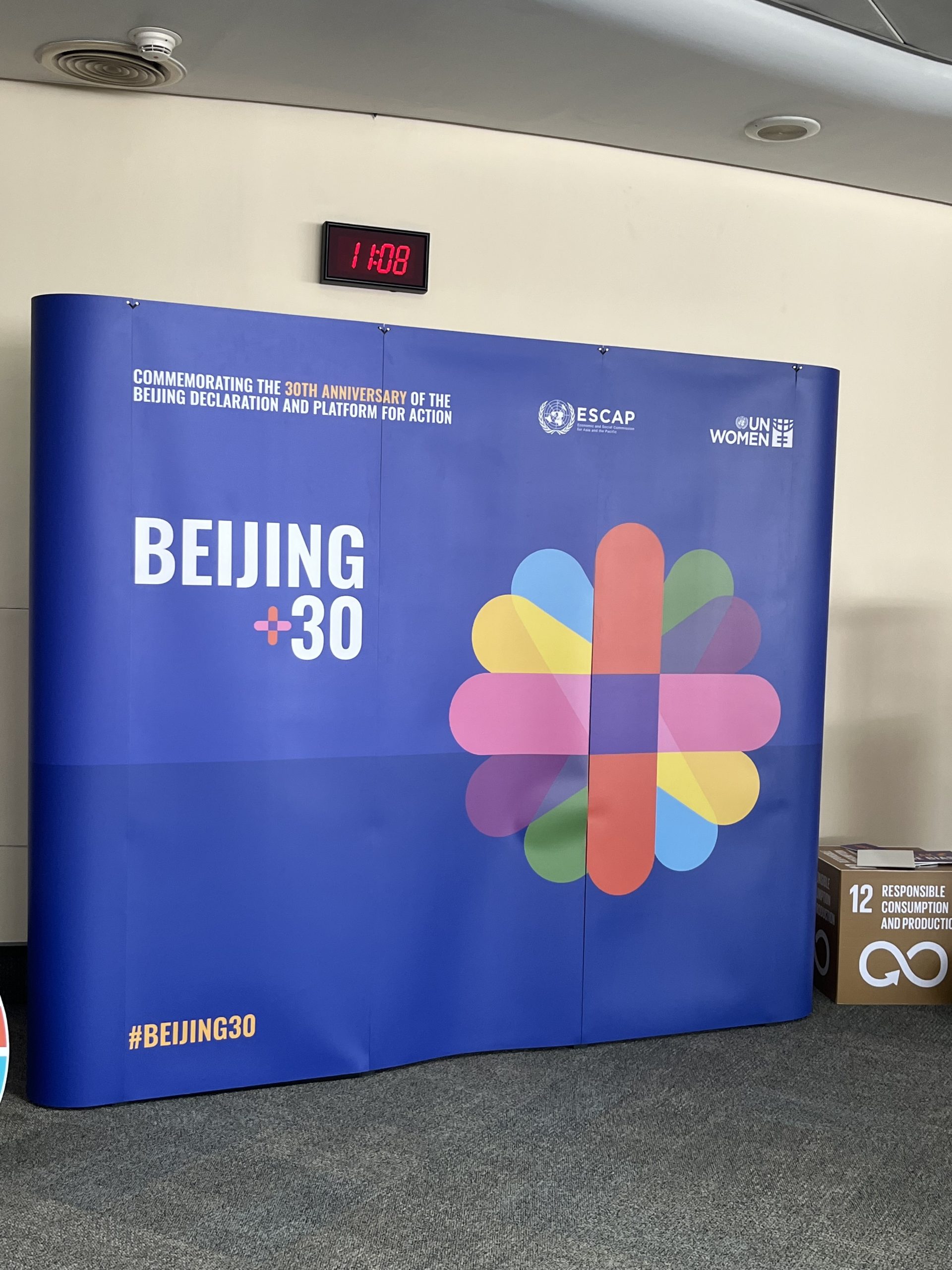 Asia-Pacific Ministerial Conference on the Beijing+30 Review